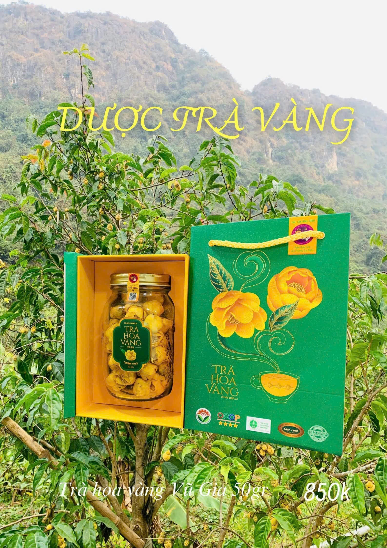 Set tinh hoa Cố Đô